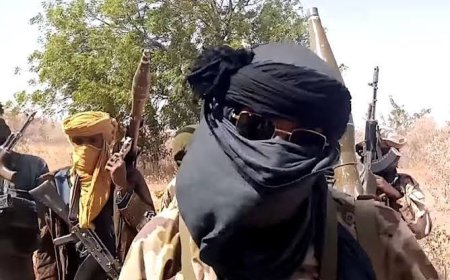 Nigerians Pay N2.3trillion Ransom In 12 Months, Records 51.9 Million Crime Incidents