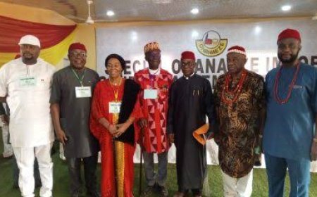 Ensure Election Of Credible Igbo Into Ohanaeze Ndigbo, Says New PG, Nze Ozichukwu