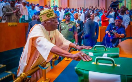 President Tinubu Presents N49.7 Trillion 2025 Budget, Says Economy Responding To Reform Stimulus