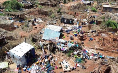 Cyclone Chido Death Toll In Mozambique Rises To 73