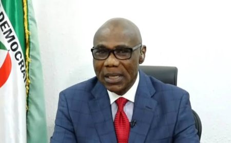 2027 Polls: Ologbondiyan Calls For Coalition To Sack APC