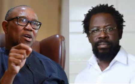 Peter Obi Offers To Fulfill Dele Farotimi's Bail Conditions