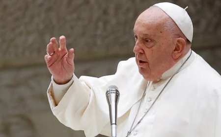 Pope calls Gaza airstrikes 'cruelty' after Israeli minister's criticism