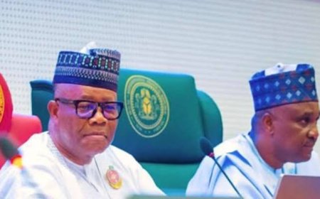 Cut N9.4 billion presidency budget for travels, meals, N344 billion NASS budget, SERAP tells Akpabio, Abbas