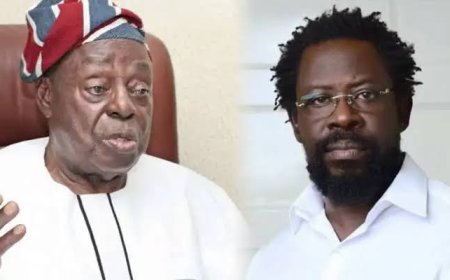 Enugu Lawyer Slams FG For Frittering Tax- payers Money To Prosecute A Private Civil Dispute Between Afe Babalola and Dele Farotimi