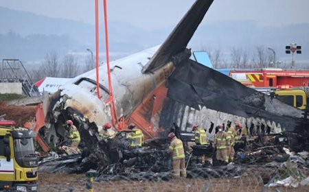 FG Commiserates With S’Korea Over Death Of 179 In Plane Crash