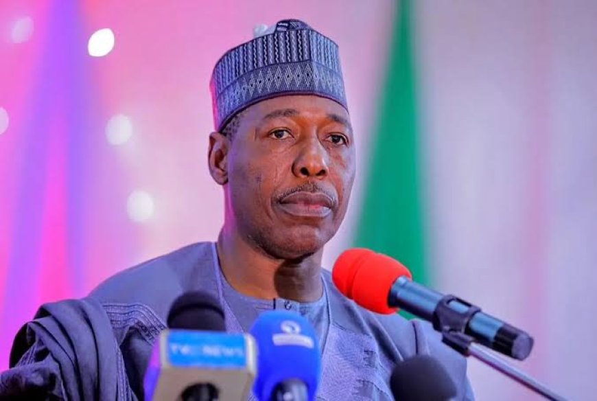 Gov. Zulum Speaks On Why Northern Govs Asked Tinubu To Pause His Tax Reform Bills