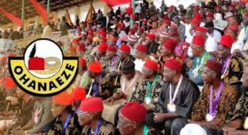 Ohanaeze Ndigbo Didn't Meet To Endorse Proposed Anioma State