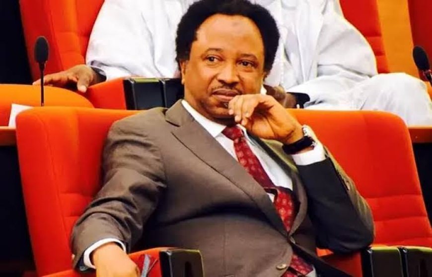 Why There Is Heavy Security Presence bAt Emir Of Kano's Palace ------ Shehu Sani