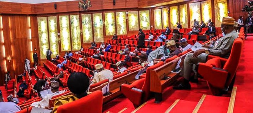 Why South- East Senate Caucus Calls For Wide Consultation On Tinubu's Tax Reform Bills