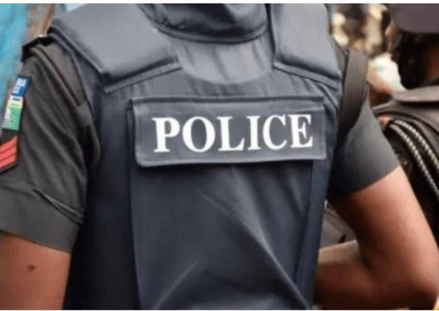 Enugu Magistrate, Defence Lawyer In Hot Exchange Of Words Over Alleged Attempt By Police To Criminalise Civil Matter