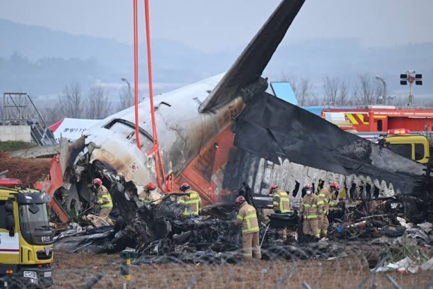 FG Commiserates With S’Korea Over Death Of 179 In Plane Crash