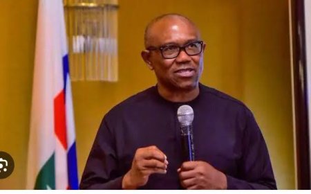 No Merger Deal With PDP, NNPP For 2027 Yet --------- Peter Obi