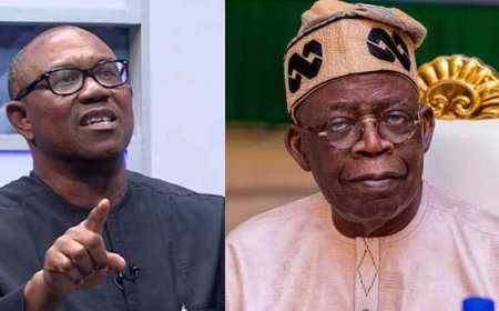 How Tinubu Refused To Honour Agreement On Nnamdi Kanu After Sending His Son, Seyi To Us Before 2023 Polls – Kanu's Family