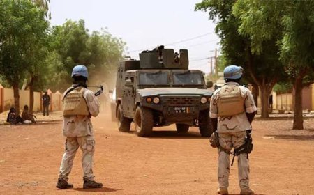 Eight Civilians Killed In Mali Attack