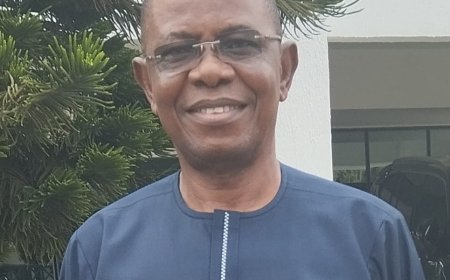 Gov Okpebholo Appoints Ex-THISDAY Editor SA, Int' al Development Partners