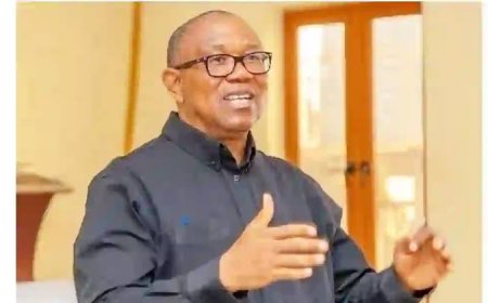 NADECO USA Denounces APC's  Threatening Rhetoric Against Peter Obi