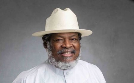 Court Blacklists Nduka Obaigbena, family from financial transactions over $718m First Bank Debt