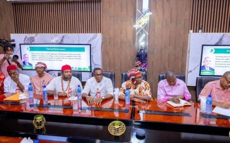 2025 Ohanaeze Election - A Success Story By Emeka Ugwu- Oju