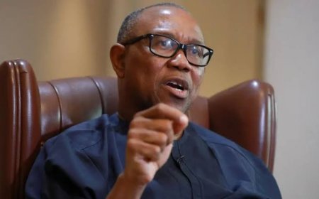 There Are More ‘Yahoo People’ In Govt Than Outside – Peter Obi