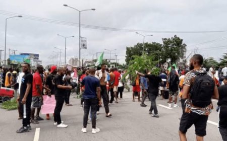 NHRC: Nigerians Can Protest Anytime, Anywhere