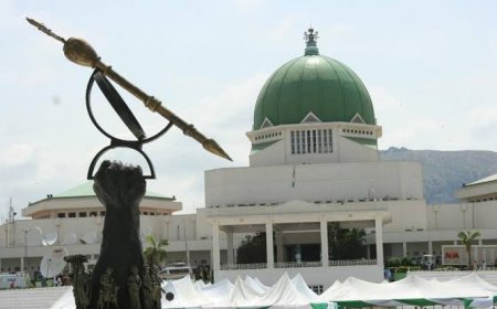 2025 Budget: NASS Postpones Resumption To February 4