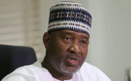 Alleged N2.8b Fraud: Sirika Awarded Contract to Unqualified Company- Witness