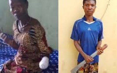 Nwana and Echege as Champions of Intimate Partner Violence