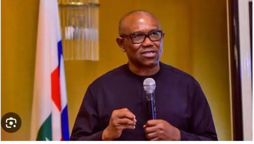 No Merger Deal With PDP, NNPP For 2027 Yet --------- Peter Obi