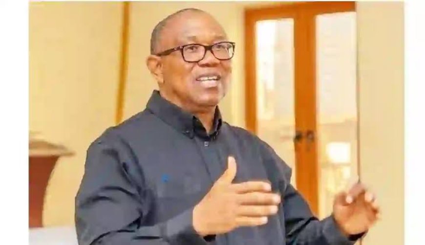 NADECO USA Denounces APC's  Threatening Rhetoric Against Peter Obi