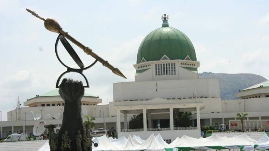 2025 Budget: NASS Postpones Resumption To February 4