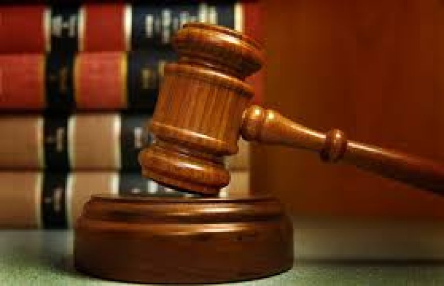 Court Jails Man for N19.6m Fraud in Maiduguri