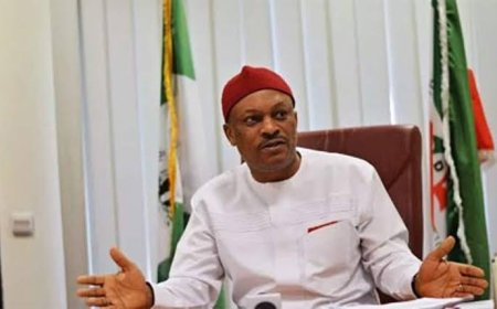 PDP BoT snubs Anyanwu, affirms Ude-Okoye as National Secretary