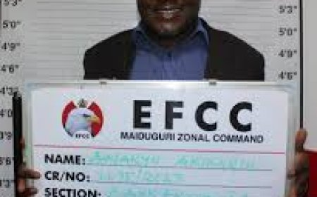 Court Jails Two for N22.1 Million Fraud in Maiduguri