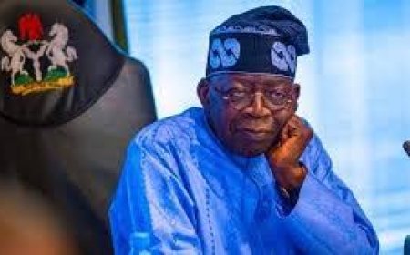 SERAP sues Tinubu over ‘failure to prosecute contractors in N167bn project fraud in MDAs’