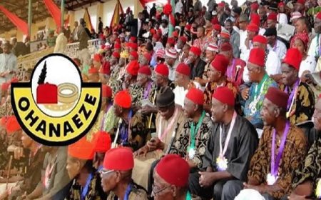 The Great Transition: Ndigbo, Alaigbo And Ohanaeze Ndigbo; Udodi