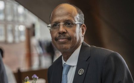 Mahmoud Ali Youssouf Elected To Head African Union Commission