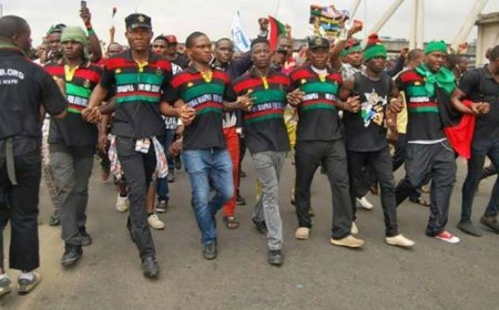 IPOB Vows It Won't Allow Fulani Terrorists Settle At Eha- Amufu, Enugu State