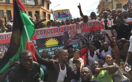 Ndigbo Should Be Motivated To Pursue Agitation For Biafran Independence Over Exclusion From 2025 Budget ------ IPOB