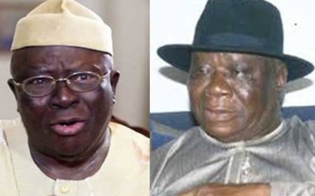 Clark & Adebanjo: Huge vacuum in democratic struggle, Uche Secondus