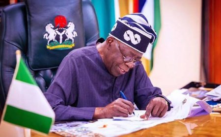 FG Approves Relocation Of 29 Correctional Centres Across Country
