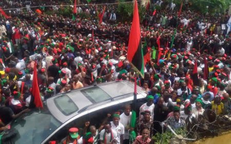 Court Clears IPOB's Head Of Directorate, Chika Edozien Of Terrorism Charges, Awards N5m Damages Against FG