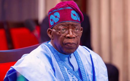 MAN's confidence index reflects a steadily recovering economy under President Tinubu’s leadership - TSF