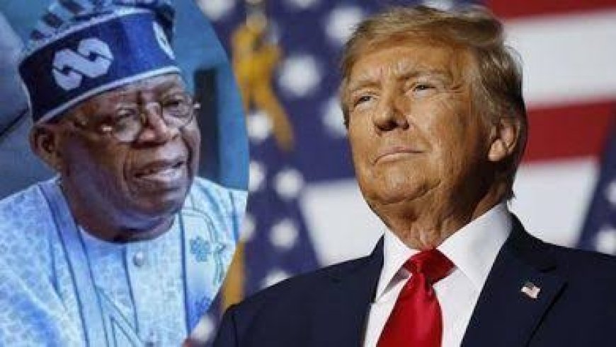 BRICS: Trump Should Discuss With Tinubu, Says Ibrahim