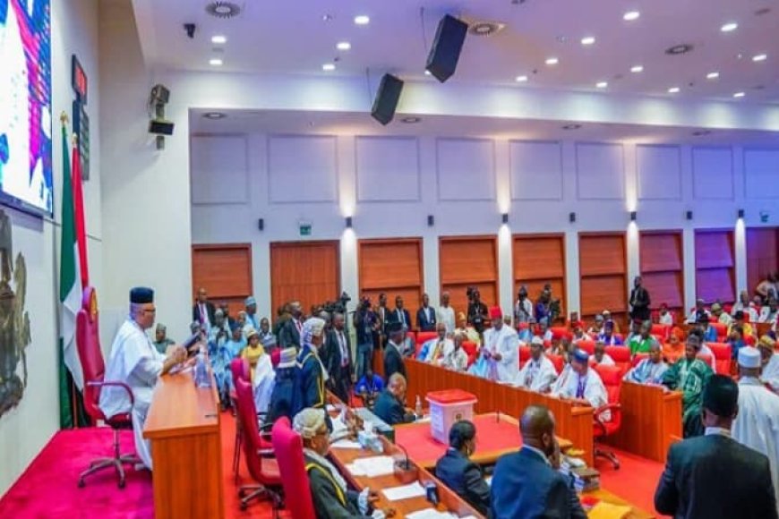 Senate threatens CBN, IGP, NNPCL, FIRS, NUPRC, Others With Warrant Of Arrests Over Refusal To Answer Audit Queries