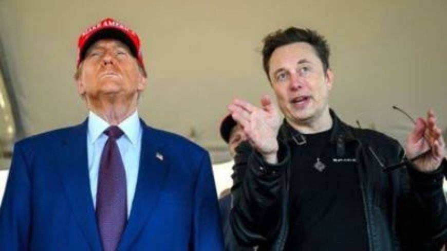 Musk will find billions in Pentagon waste, Trump says Trump 