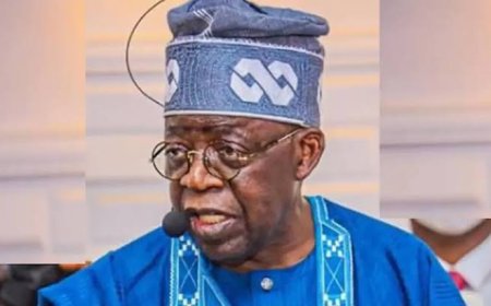 A thrilled Tinubu watches Obasa live above the law