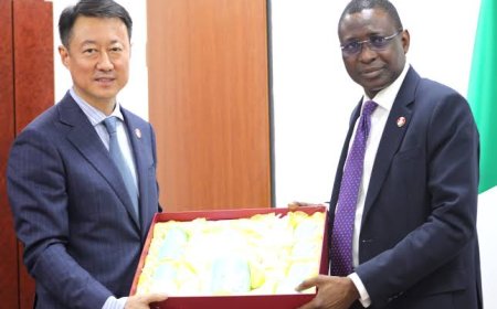 Chinese Working Group to Collaborate with EFCC in Tackling Cybercrime