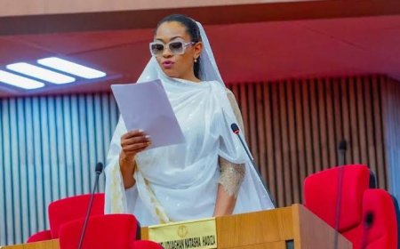 Abuja Court Stops Senate From Probing Kogi Senator, Natasha Akpoti-Uduaghan