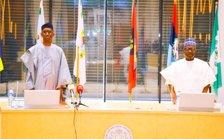 Group Commends FG's Drive For  Technology-based Census In Nigeria